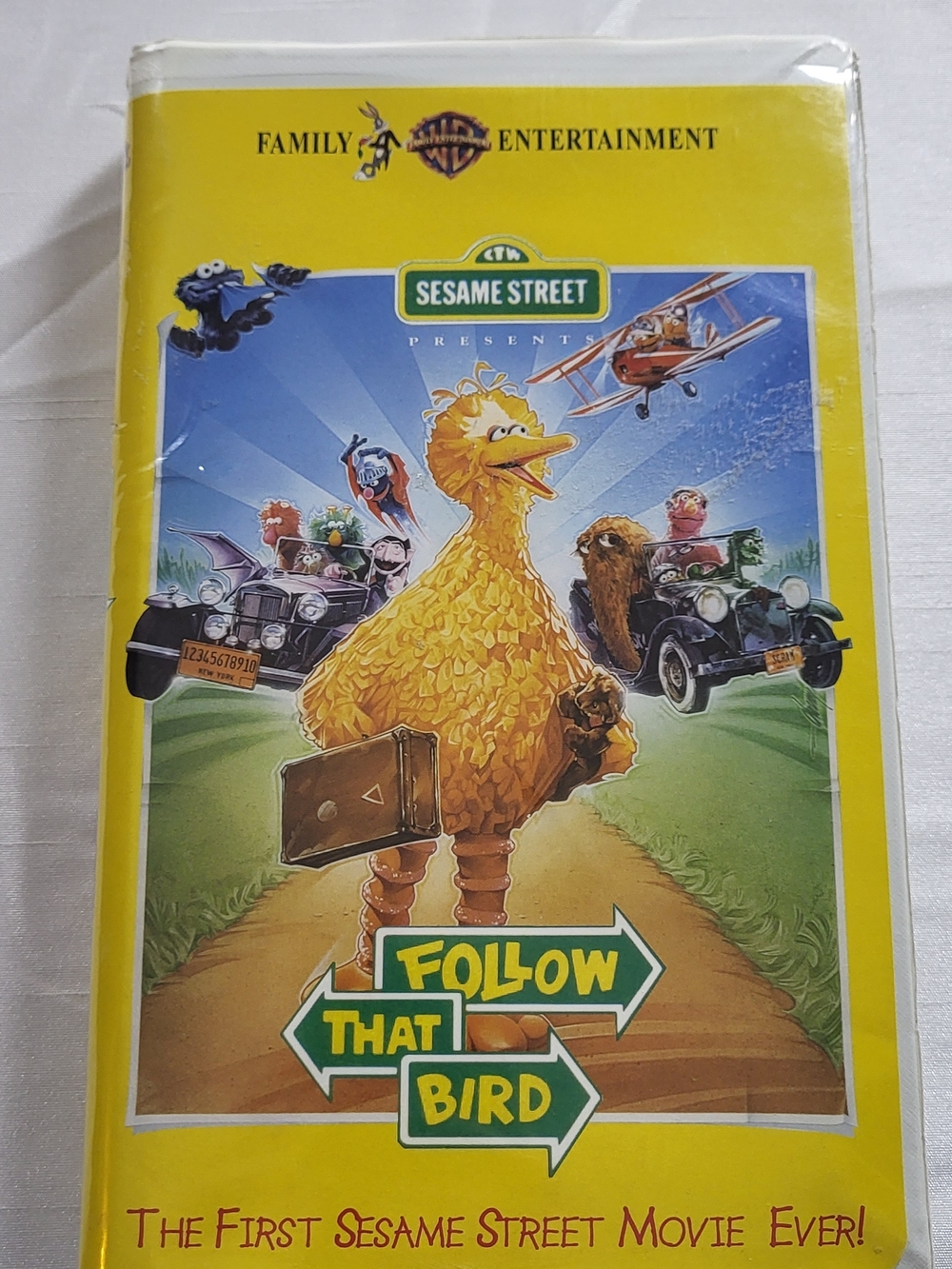 Sesame Street Big Bird Yellow and Blue Movie Artwork
